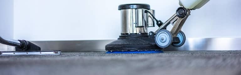 Aprende cómo limpiar la alfombra si no tienes aspiradora