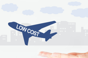 El verdadero precio de los vuelos cost
